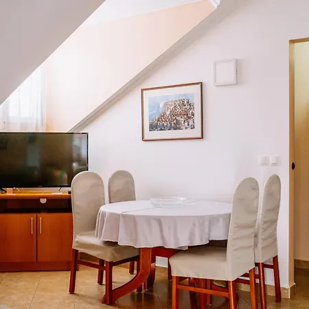 Apartment Curic *